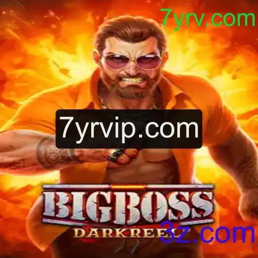 Descubra o Fascinante Mundo de 'BigBoss'